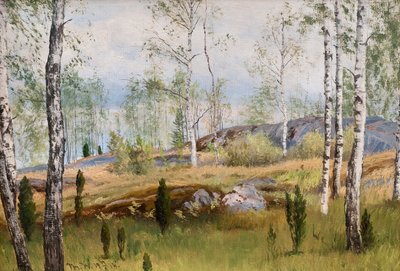 Birch Trees by Thorsten Waenerberg